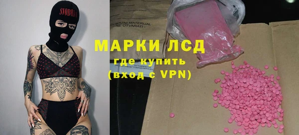 индика Балабаново