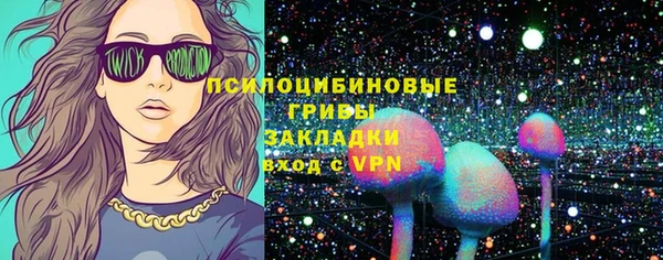 стаф Семикаракорск